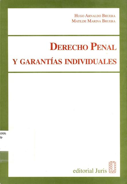 Derecho Penal y Garantías Individuales