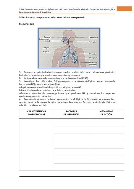 Preguntas guía taller infecciones respiratorias 9