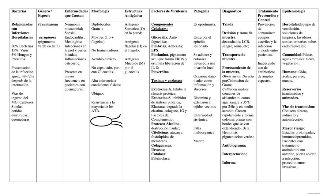 Cuadro Bacterias repaso