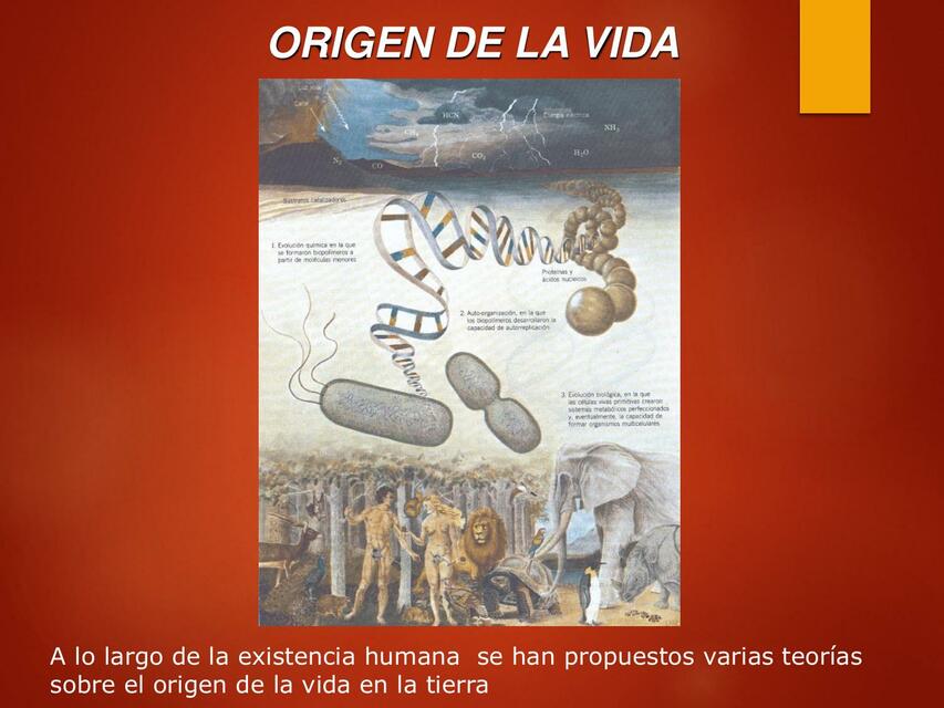 el origen de la vida