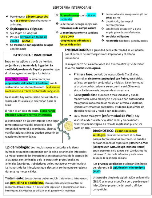 Leptospira interrogans 