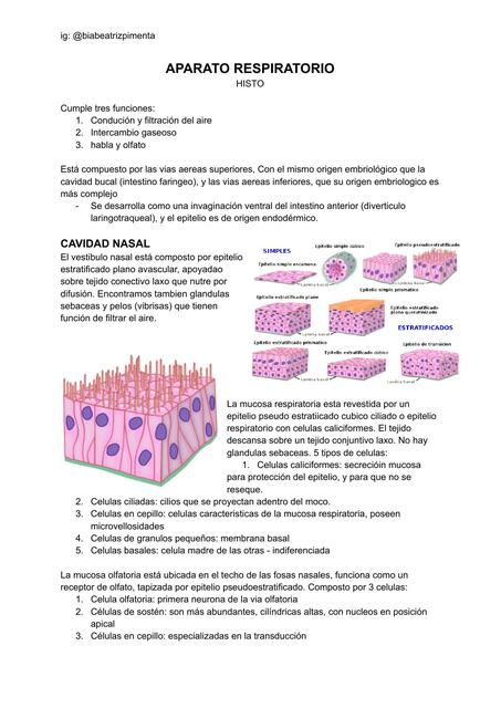 Histologia del SISTEMA RESPIRATORIO