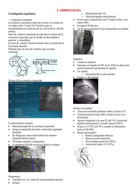 PATOLOGÍA 1er parcial