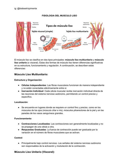 MUSCULO LISO - fisiologia