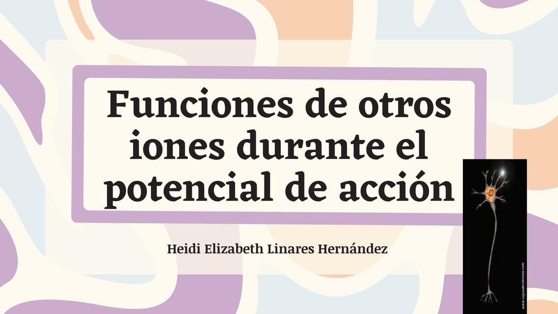 Funciones de otros iones durante el potencial de acción 