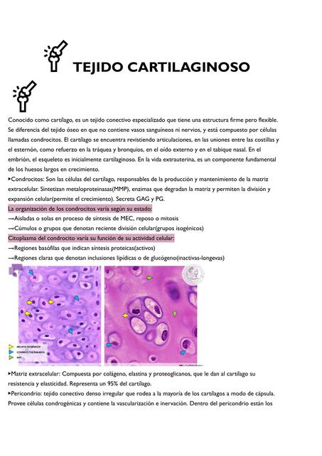 TEJIDO CARTILAGINOSO