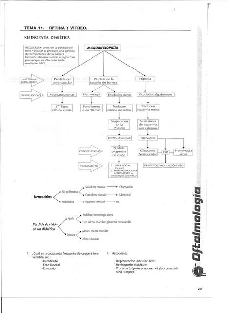 Oftalmologia