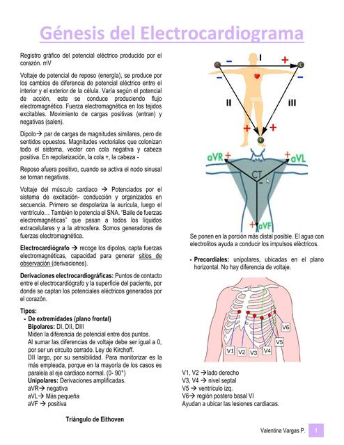 Génesis del Electrocardiograma