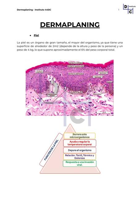 Dermaplaningg