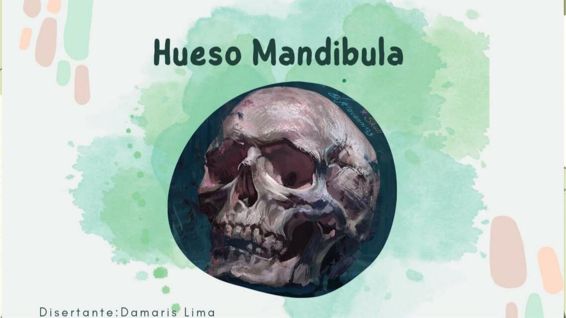 hueso mandibula