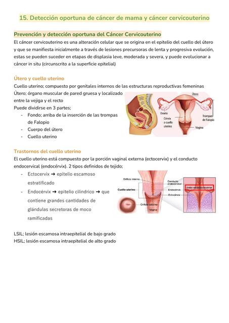 Deteccion oportuna de cancer de mama y cancer cervicouterino