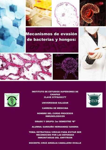 Mecanismos de evasión de bacterias y hongos