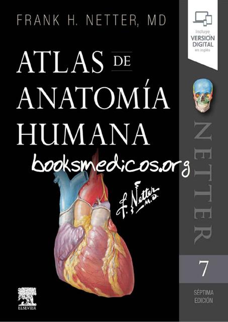 Netter Atlas de Anatomia Humana 7a Edicion