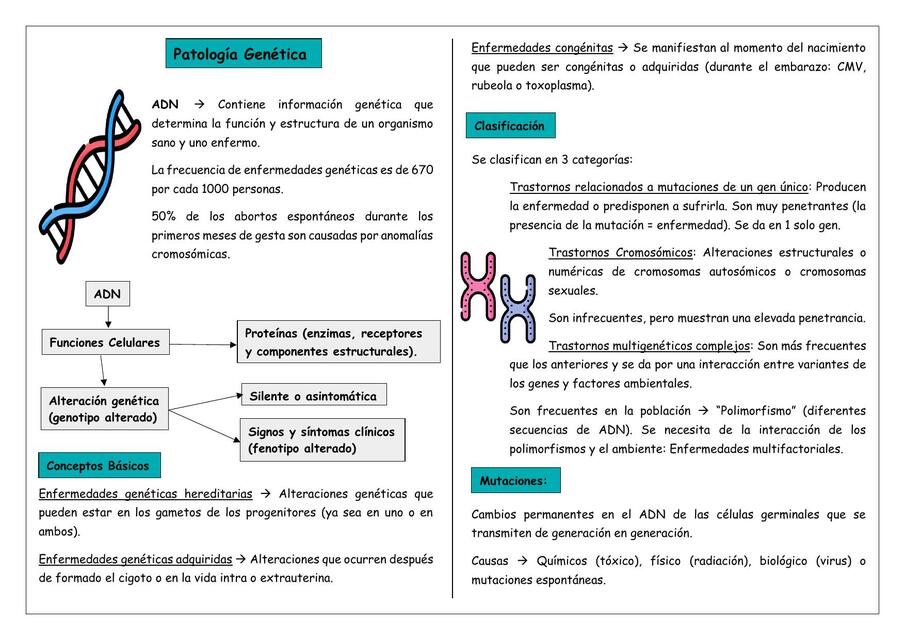 Patología Genética