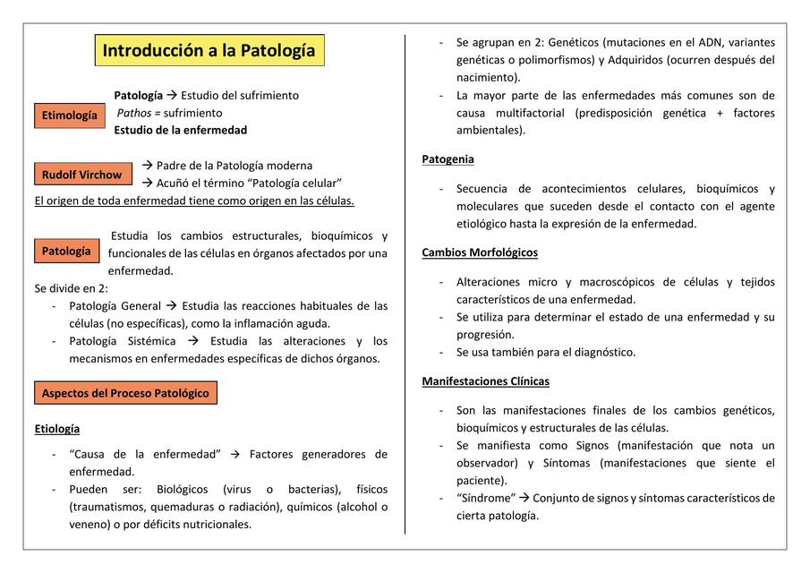 Introducción a la patología