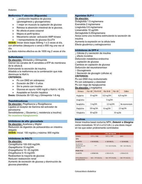 Endocrinologia 2 parcial