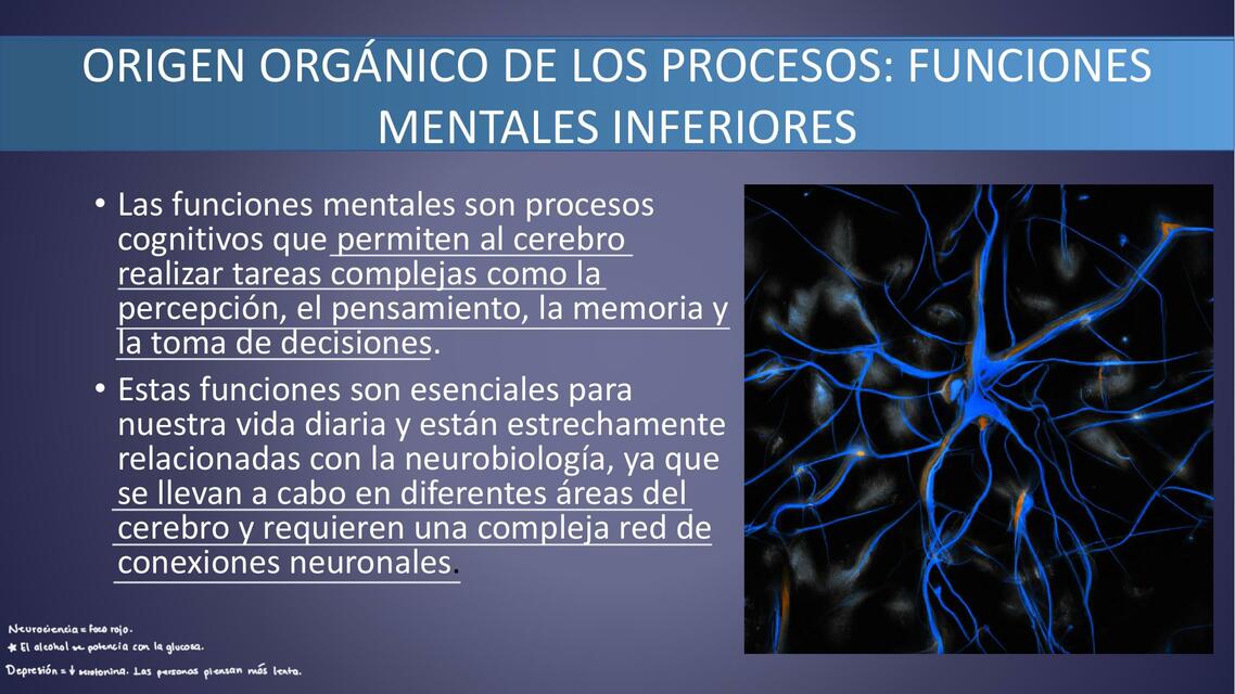 Funciones mentales y nuerobiología