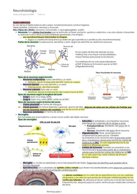 Histología del tejido nervioso