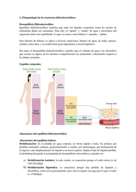 Fisiopatología Del Equilibrio Ácido Base Avril Udocz