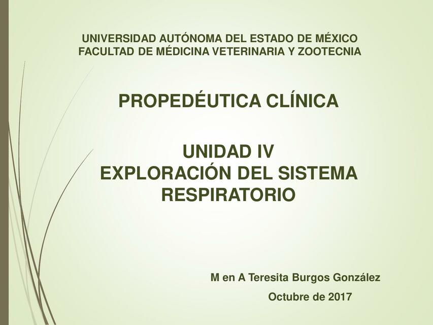 Exploración clínica del sistema respiratorio.