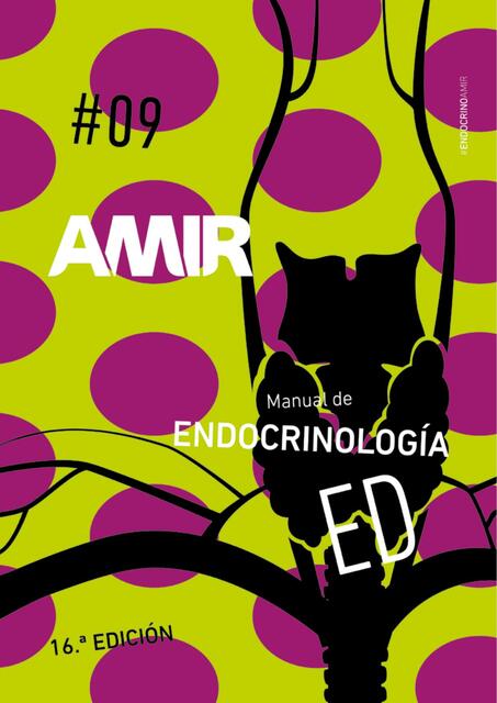 MANUAL AMIR ENDOCRINOLOGÍA 16 ED