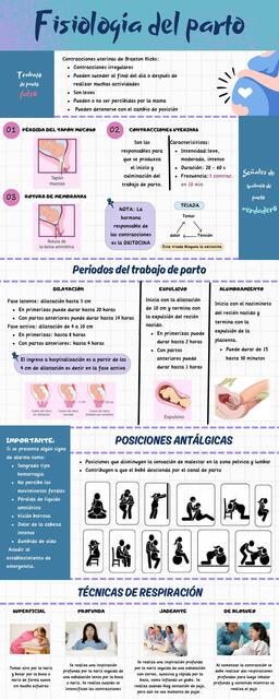 Fisiología del parto