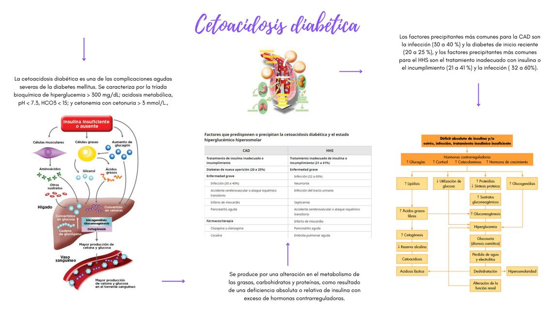 CETOACIDOSIS DIABETICA 1