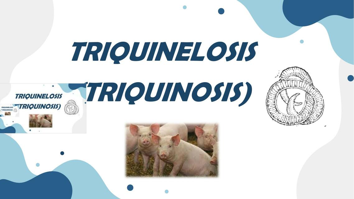 TEMA 7 TRIQUINELOSIS