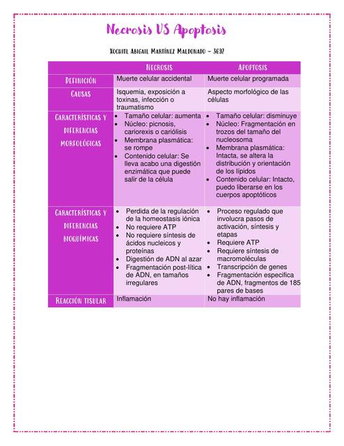 necrosis vs apoptosis 1