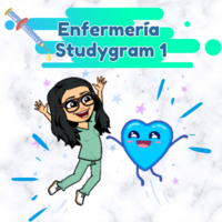 Enfermería Studygram1